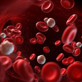 Reducción del colesterol “malo”