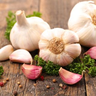 Extracto de Ajo